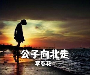 李春花《公子向北走吉他谱》(G调)