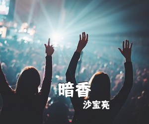 沙宝亮《暗香吉他谱》