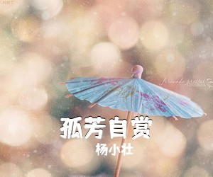 杨小壮《孤芳自赏吉他谱》