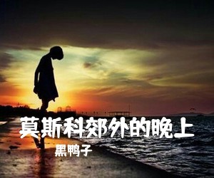 黑鸭子《***郊外的晚上吉他谱》(C调)