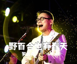 罗大佑《野百合也有春天吉他谱》(C调)