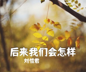 刘惜君《后来我们会怎样吉他谱》(G调)