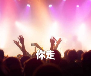 《你走吉他谱》