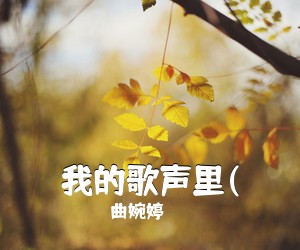 曲婉婷《我的歌声里(吉他谱》(F调)
