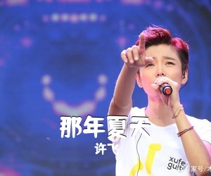 许飞《那年夏天吉他谱》(F调)