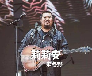 宋冬野《莉莉安吉他谱》(C调)