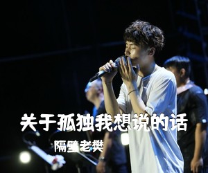 隔壁老樊《关于孤独我想说的话吉他谱》(C调)