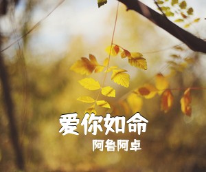 阿鲁阿卓《爱你如命简谱》