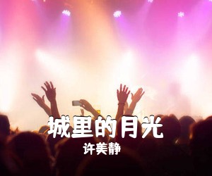 许美静《城里的月光吉他谱》(G调)