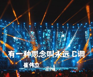 崔伟立《有一种思念叫永远 C调吉他谱》(C调)