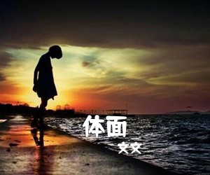 文文《体面吉他谱》(G调)