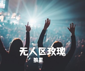 狼星《无人区玫瑰吉他谱》(C调)