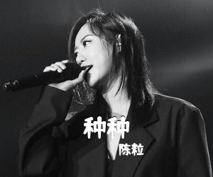 陈粒《种种吉他谱》(C调)