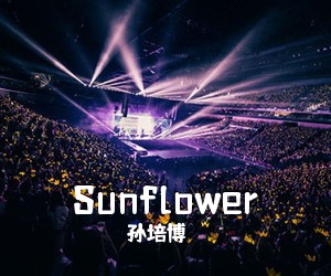 孙培博《Sunflower吉他谱》