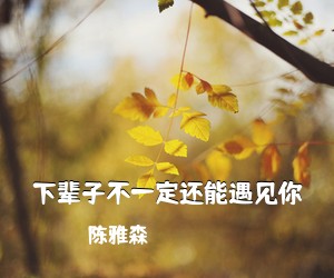 陈雅森《下辈子不一定还能遇见你吉他谱》(G调)