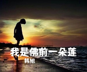 韩旭《我是佛前一朵莲简谱》