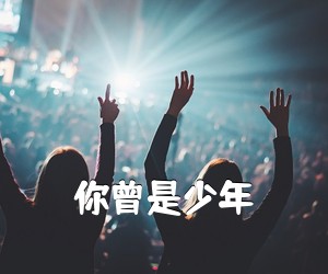 《你曾是少年吉他谱》
