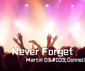 Martin O'Donnell Michael Salvatori《Never Forget简谱》