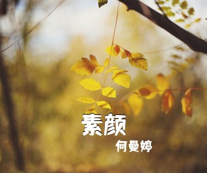 何曼婷《素颜吉他谱》