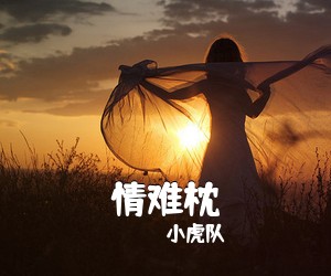 小虎队《情难枕吉他谱》(G调)