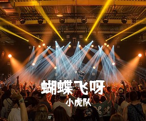小虎队《蝴蝶飞呀吉他谱》(G调)