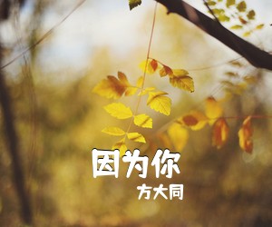 方大同《因为你吉他谱》