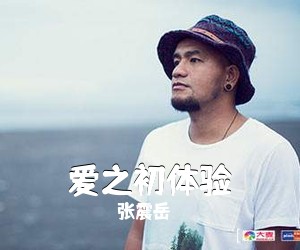 张震岳《爱之初体验吉他谱》(G调)
