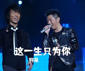 羽泉《这一生只为你吉他谱》(G调)