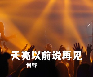 何野《天亮以前说再见吉他谱》(G调)