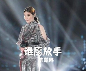 陈慧琳《谁愿放手吉他谱》(C调)