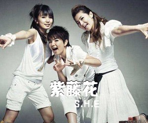 S.H.E《紫藤花吉他谱》(G调)