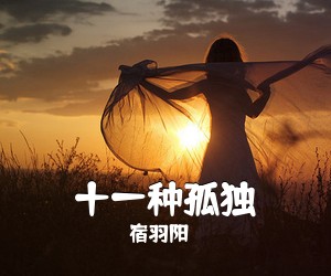 宿羽阳《十一种孤独吉他谱》(C调)