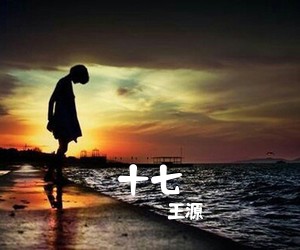 王源《十七吉他谱》(C调)