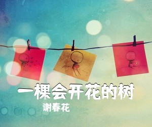 谢春花《一棵会开花的树吉他谱》(C调)