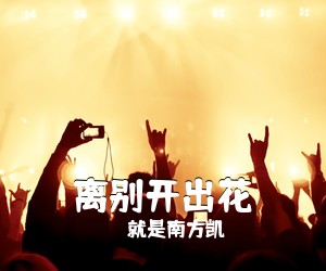 就是南方凯《离别开出花吉他谱》(C调)