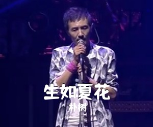 朴树《生如夏花吉他谱》(A调)