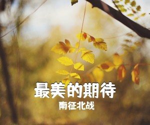南征北战《最美的期待吉他谱》