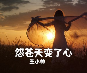 王小帅《怨苍天变了心吉他谱》(G调)