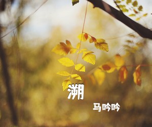 马吟吟《溯吉他谱》(C调)