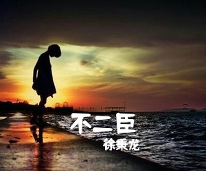 徐秉龙《不二臣吉他谱》(C调)