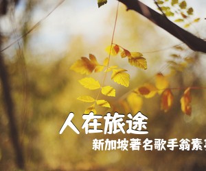 新加坡著名歌手翁素英《人在旅途吉他谱》(C调)