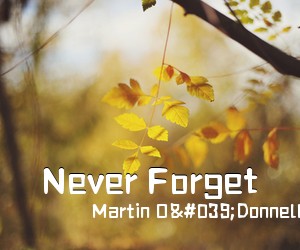 Martin O'Donnell Michael Salvatori《Never Forget简谱》