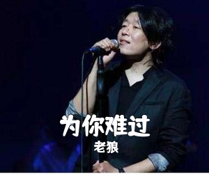 老狼《为你难过吉他谱》(E调)