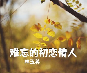 林玉英《难忘的初恋情人简谱》