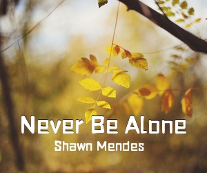 Shawn Mendes《Never Be Alone吉他谱》(C调)
