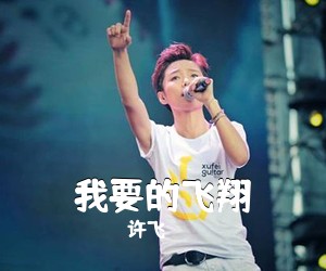 许飞《我要的飞翔简谱》