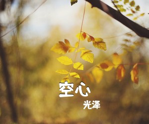 光泽《空心吉他谱》(C调)