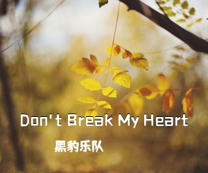 黑豹乐队《Don't Break My Heart吉他谱》(G调)