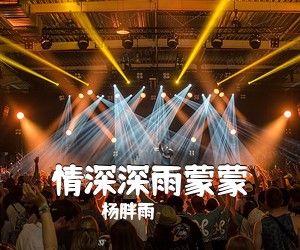 杨胖雨《情深深雨蒙蒙吉他谱》(C调)