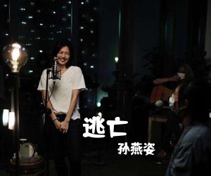 孙燕姿《逃亡吉他谱》(G调)